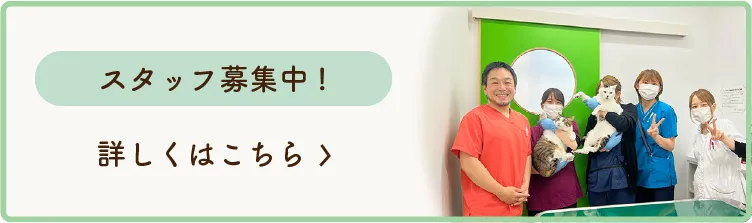 スタッフ募集中！ 詳しくはこちら