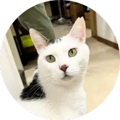 くっちーー