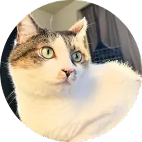 にゃんたろー
