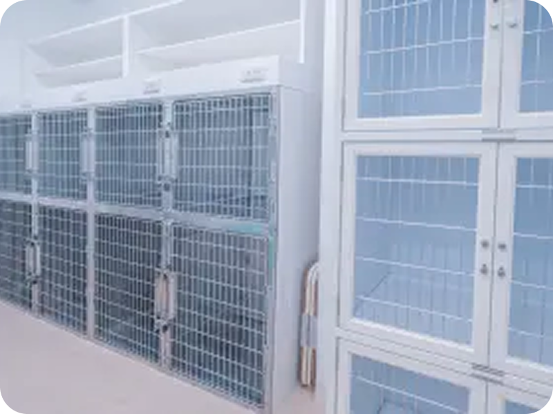 院内の様子